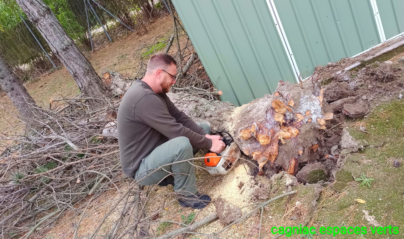 Dessouchage et débroussaillage