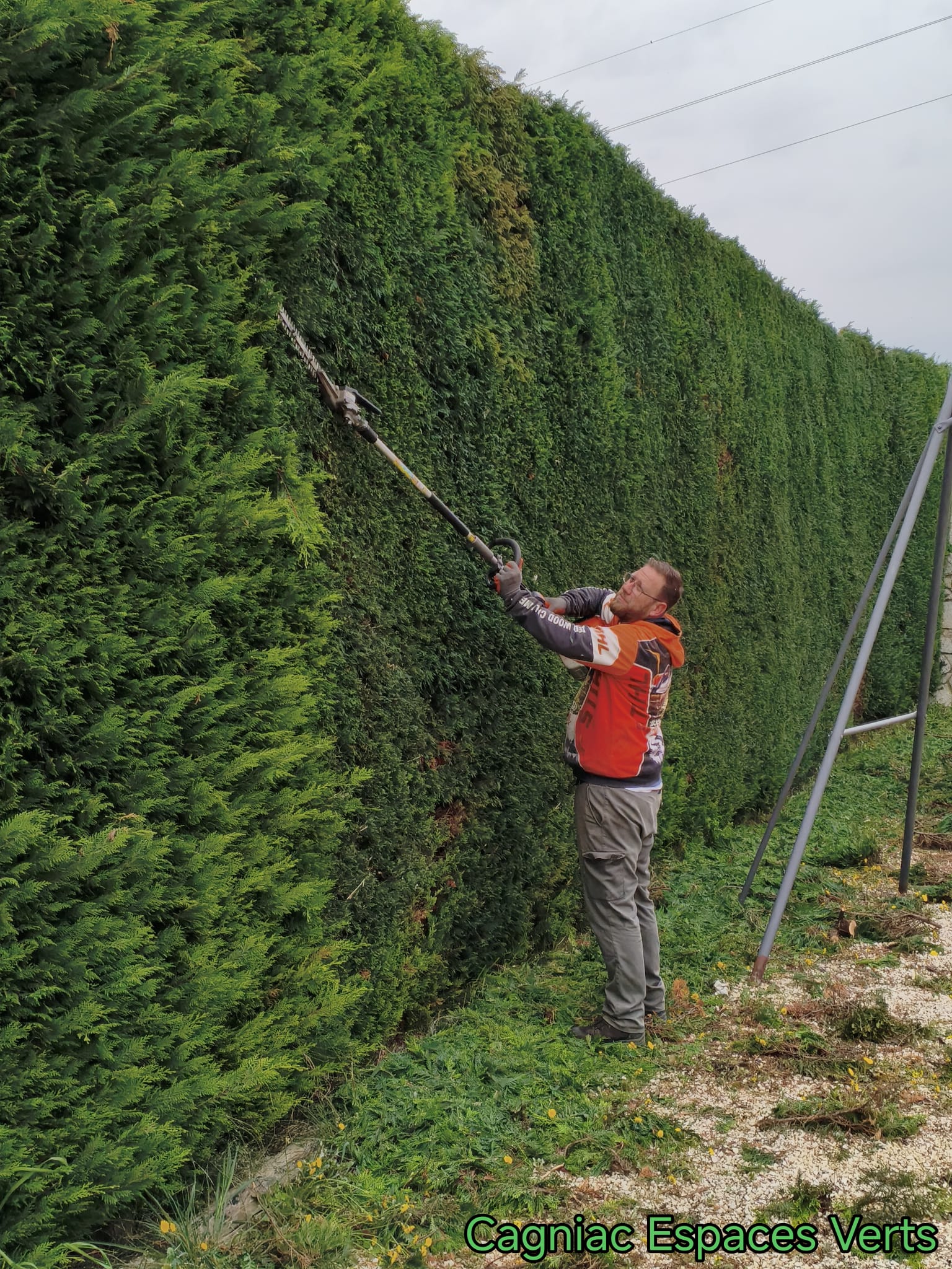 Taille de haies