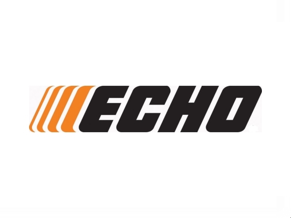 Echo